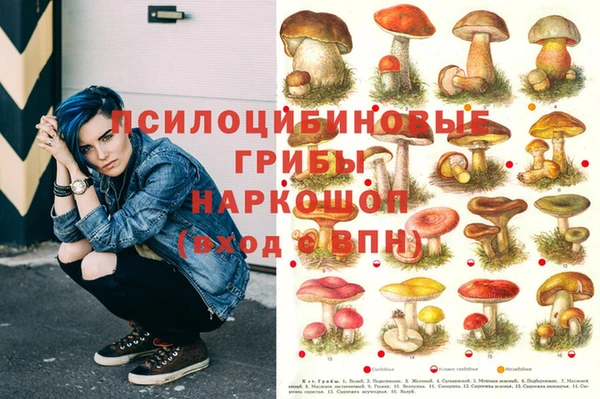 стаф Абдулино