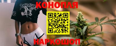 сатива Коммунар