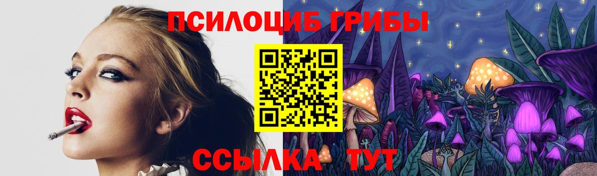Орск  где продают наркотики  Вход с VPN  Псилоцибиновые грибы Cubensis  Галлюциногенные грибы прущие грибы 